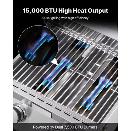 Tabletop Gas Grill, 2-Burner Portable Propane and Natural Gas Grill in Stainless Steel with Thermometer and Regulator